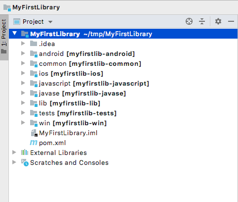 intellij myfirstlib project inspector